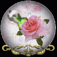 robbierock.....alain